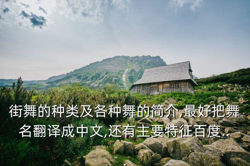 街舞的种类及各种舞的简介,最好把舞名翻译成中文,还有主要特征百度...