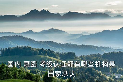 国内 舞蹈 考级认证都有哪些机构是国家承认