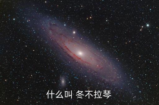 什么叫 冬不拉琴