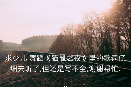 求少儿 舞蹈《猫鼠之夜》里的歌词仔细去听了,但还是写不全,谢谢帮忙...