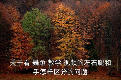 关于看 舞蹈 教学 视频的左右腿和手怎样区分的问题