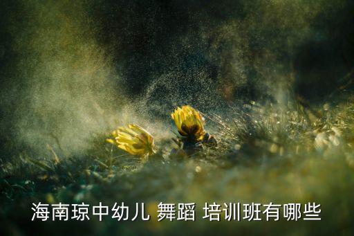 海南琼中幼儿 舞蹈 培训班有哪些