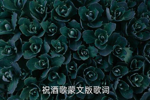 广场舞蹈草原祝酒哥,醉酒宋词:太干了!