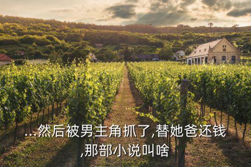 ...然后被男主角抓了,替她爸还钱,那部小说叫啥