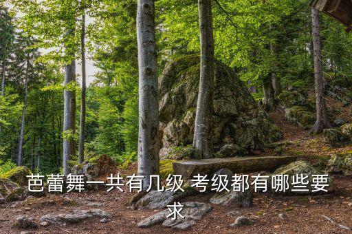  芭蕾舞一共有几级 考级都有哪些要求