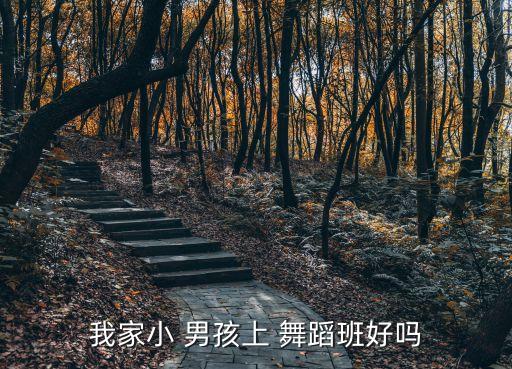 我家小 男孩上 舞蹈班好吗