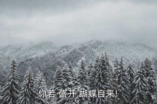 你若 盛开,蝴蝶自来!