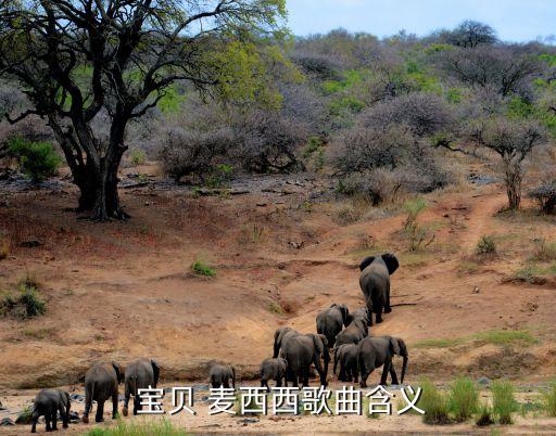 宝贝麦西西儿童舞蹈,宝贝麦西西主打亲子教育新风尚