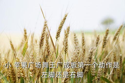 小 苹果广场舞王广成版第一个动作是左脚还是右脚