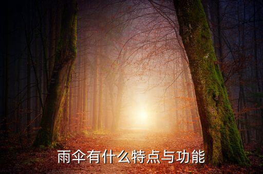 古典油纸伞舞蹈视频,日本传统婚礼中新娘也会被红纸伞覆盖