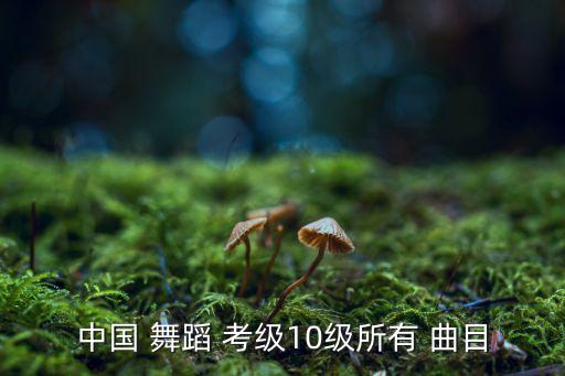 儿童舞蹈考级一级曲目,中国舞蹈考级共有13个年级