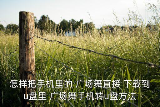 都市广场舞蹈下载地址,怎么下载对着电脑跳舞?