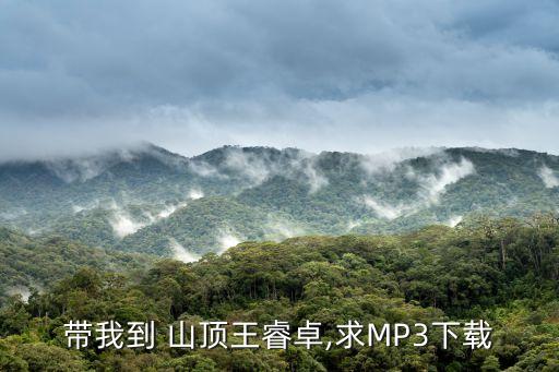 带我到 山顶王睿卓,求MP3下载