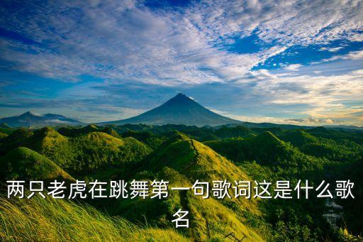 妈吗宝贝舞蹈视频教学视频,《两只老虎在跳舞》主打亲子音乐