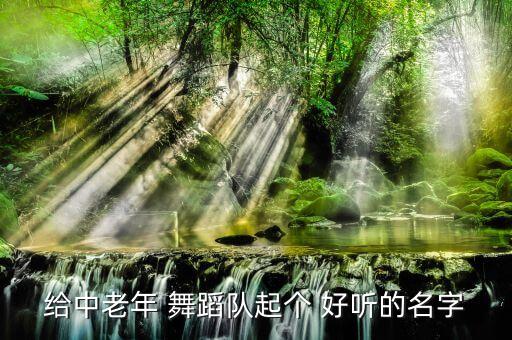 给中老年 舞蹈队起个 好听的名字