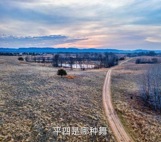 重庆舞蹈 杨艺,国际交谊舞蓝调俗称慢四步舞