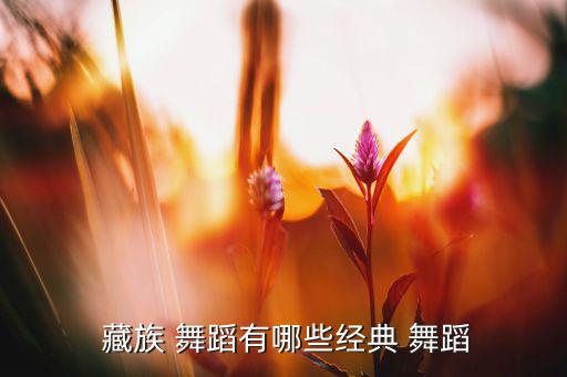  藏族 舞蹈有哪些经典 舞蹈