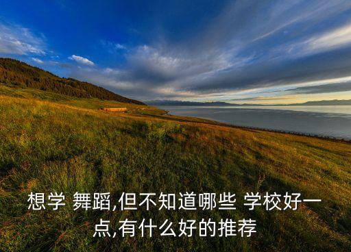 学舞蹈去哪个学校,北京舞蹈学院是专业学习舞蹈的学校