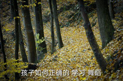 你要如何学习这门舞蹈课程,如何突破教学重点?