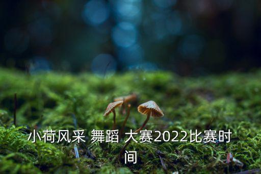 小荷风采 舞蹈 大赛2022比赛时间