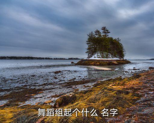  舞蹈组起个什么 名字