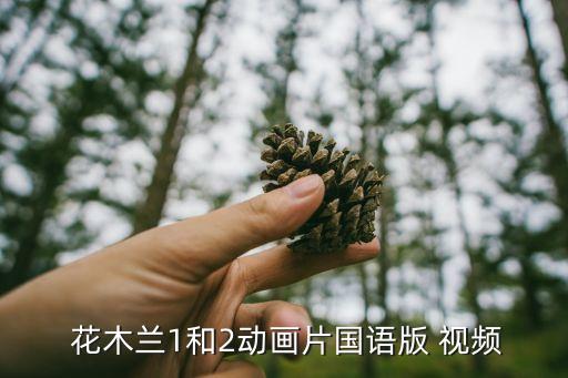 深圳花木兰舞蹈视频,武汉出现第一起确诊病例武汉女英雄出征