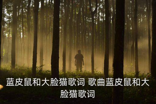 蓝皮鼠和大脸猫歌词 歌曲蓝皮鼠和大脸猫歌词