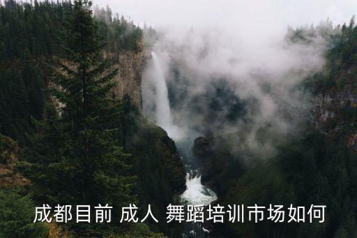  成都目前 成人 舞蹈培训市场如何