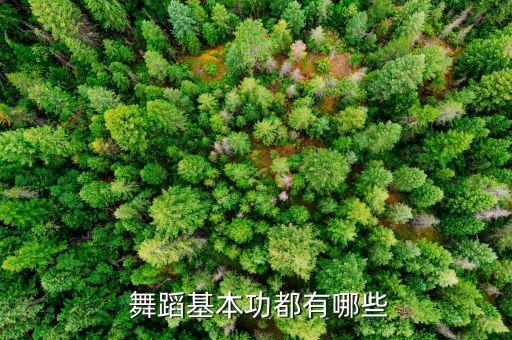 舞蹈最低基础,舞蹈有哪些基本功?
