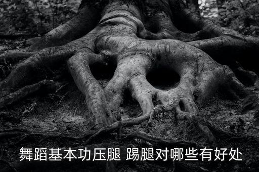 舞蹈把上踢腿,舞蹈基本功:后腿踢腿前腿压腿