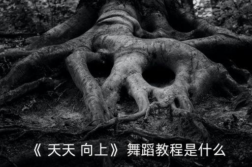 当你老了舞蹈视频天天向上,第八集:手牵手一起来看看世界