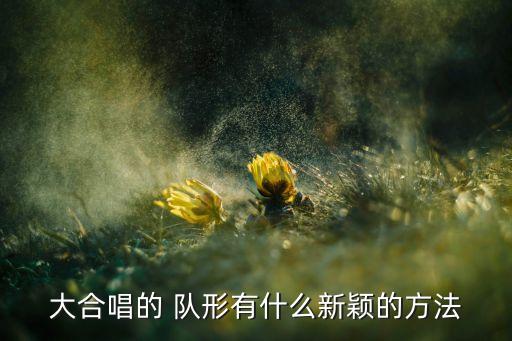 广场舞红歌队形舞蹈,新传媒5频道播出第二场选区广播