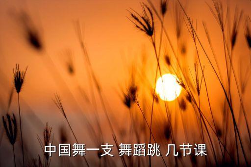 中国舞一支 舞蹈跳 几节课