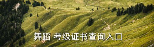  舞蹈 考级证书查询入口