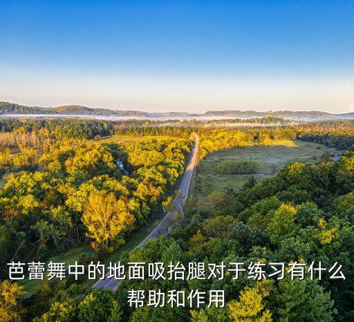 芭蕾舞中的地面吸抬腿对于练习有什么帮助和作用
