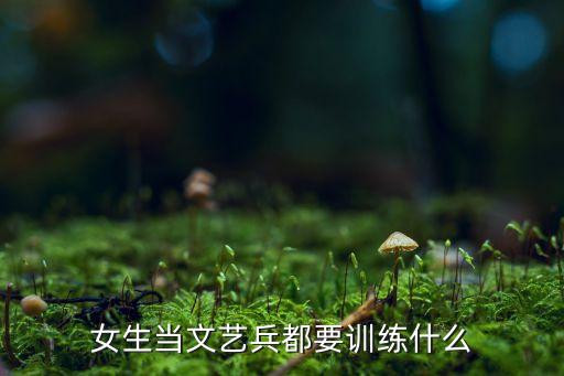 军旅舞蹈女兵,女兵当文艺兵有何要求和需求?