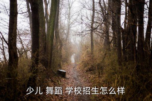 少儿 舞蹈 学校招生怎么样