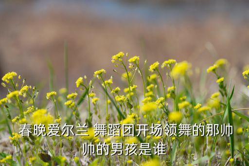  春晚爱尔兰 舞蹈团开场领舞的那帅帅的男孩是谁
