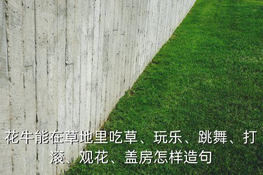 野花舞蹈,数据说明!