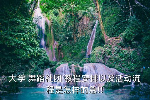 大学 舞蹈社团 教程安排以及活动流程是怎样的急!!