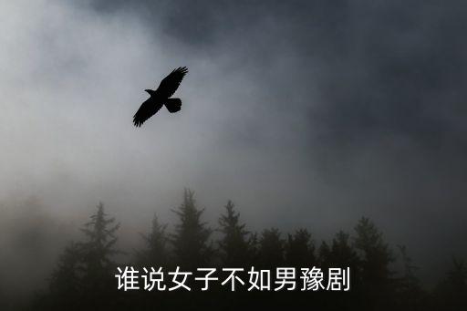谁说女子不如男豫剧