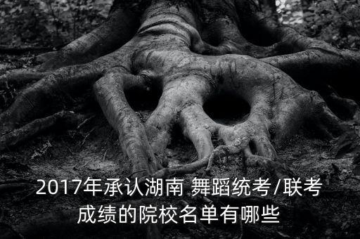 2017年承认湖南 舞蹈统考/联考成绩的院校名单有哪些