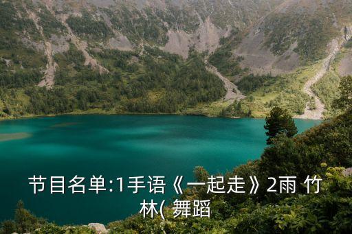节目名单:1手语《一起走》2雨 竹林( 舞蹈