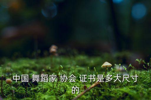 中国 舞蹈家 协会 证书是多大尺寸的