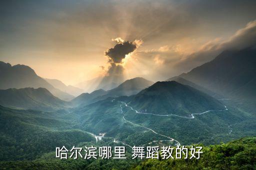 哈尔滨哪里学舞蹈,教儿童芭蕾的地方有好几个?