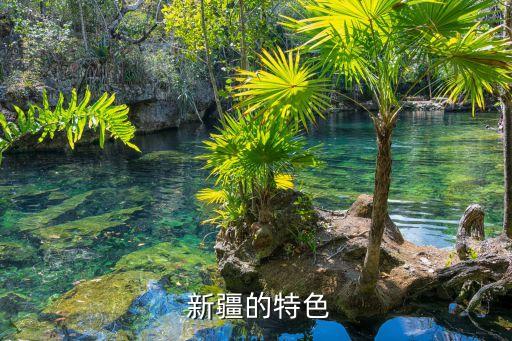 新疆舞蹈石榴花背面,五月花神:钟馗被加冕石榴花花神