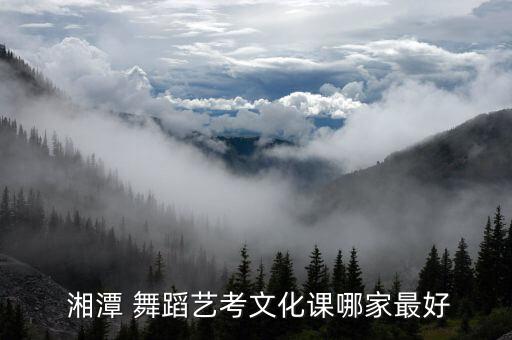  湘潭 舞蹈艺考文化课哪家最好