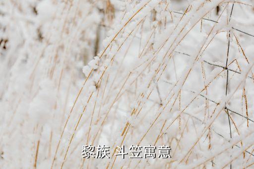 黎族 斗笠寓意