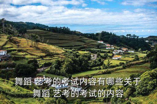 艺考舞蹈要考什么,中国舞蹈学院考生如何进行舞蹈艺考?