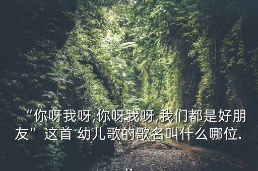幼儿舞蹈我们都是好朋友,幼儿园教案《我们都是好朋友》